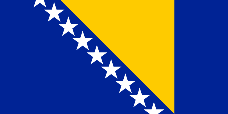 Bosanski jezik